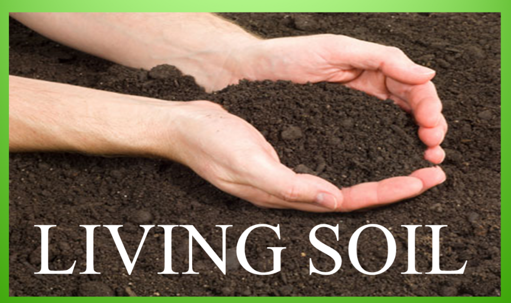 Living Soil