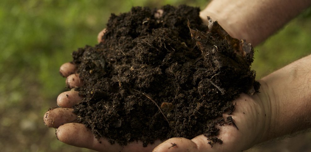 Living Soil with Compost