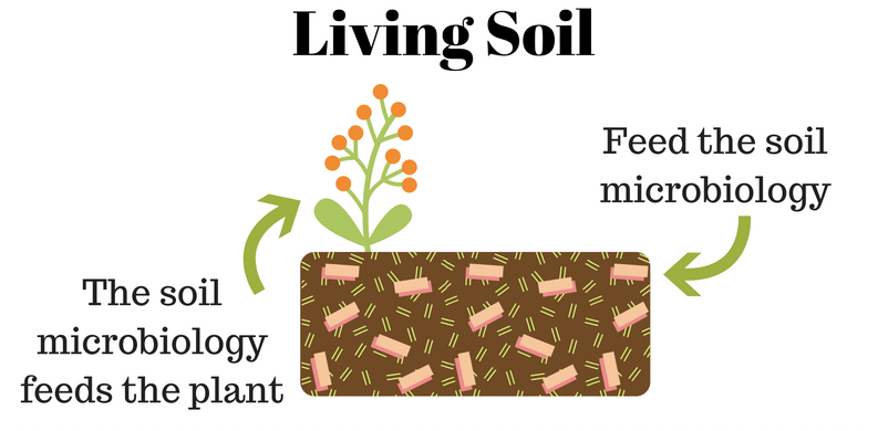 Living Soil