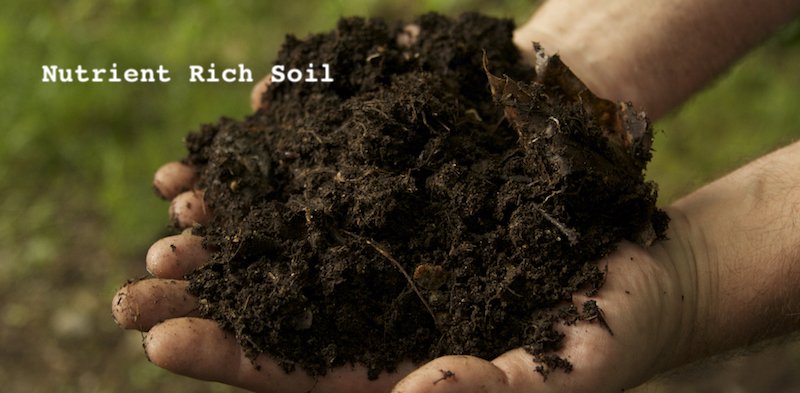 Nutrient Rich Soil