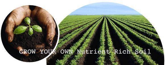 Growing Nutrient Rich Soil